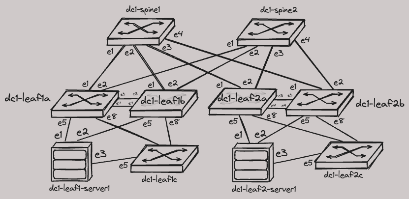 lab topology