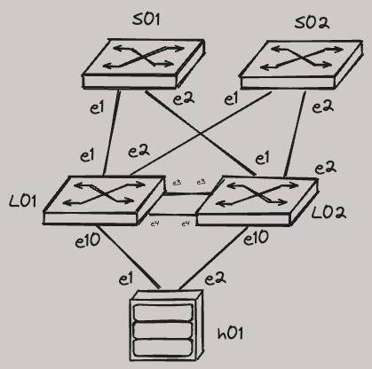 lab topology